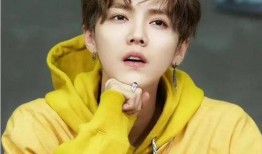 爆料鹿晗割韭菜视频播放,揭秘明星效应下的粉丝经济真相