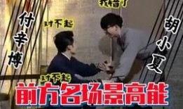 大叔和黄琴被爆料视频,真相与争议