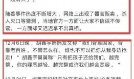 江西胡鑫宇最新爆料,揭开真相背后的重重迷雾